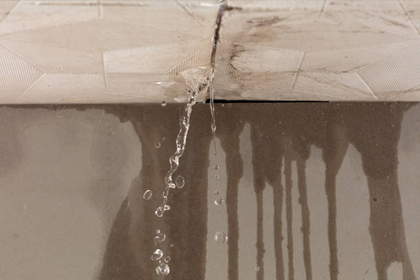 Professional Water Damage Inspection technician working in Ottsville, PA